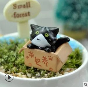 1PC Cartoon Poor Box Cute Mini Cat Ornament Garden kitten Ornament Gift For Kids Baby Room Decoration Toy Miniature Figurines - PLAYEGGSS